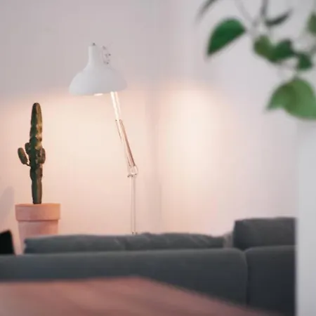 Designer Apartment *